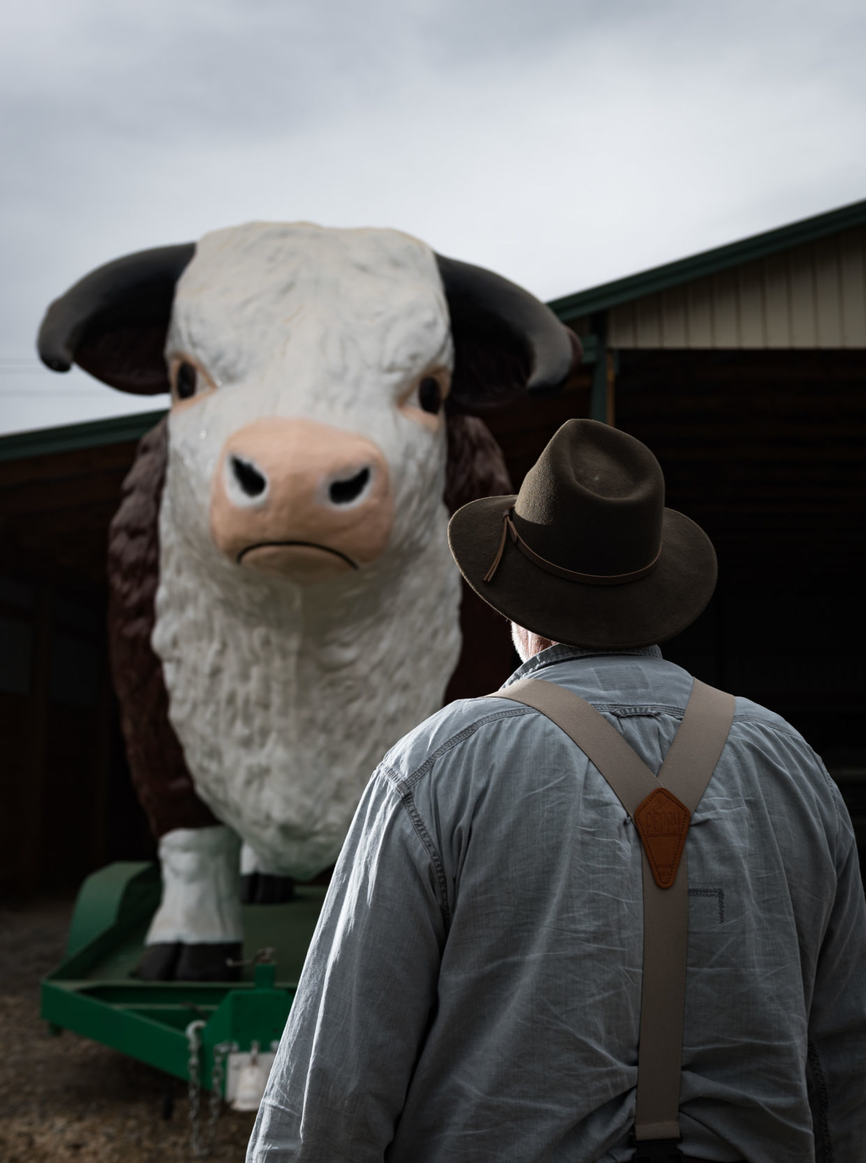 Steve Newsom's Bull Statue